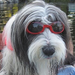 Meet your Posher, Heidi